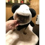 Image 7 of customer photos