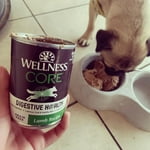 Image 6 of customer photos