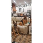 Image 2 of customer photos