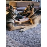 Image 7 of customer photos