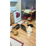 Image 1 of customer photos