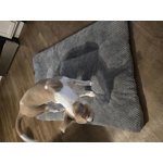 Image 5 of customer photos