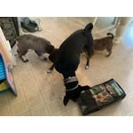 Image 6 of customer photos