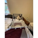 Image 3 of customer photos