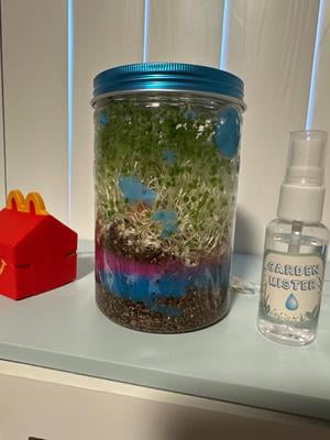 Customer reviews for Creativity for Kids Grow 'N Glow Terrarium