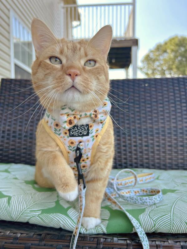 Sassy Meow Cat Step-In Harness Small - Hello Kitty Light Blue