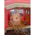 Image 7 of customer photos