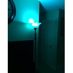 Image 5 of customer photos