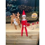 Image 5 of customer photos