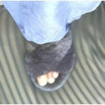 Image 6 of customer photos