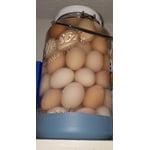 Image 1 of customer photos