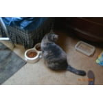 Image 7 of customer photos