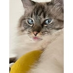 Image 5 of customer photos