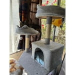 Image 4 of customer photos