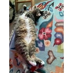 Image 3 of customer photos