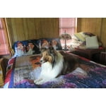 Image 1 of customer photos