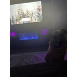 Image 5 of customer photos