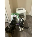 Image 5 of customer photos