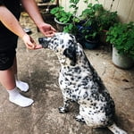 Image 4 of customer photos