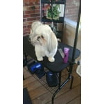 Image 7 of customer photos