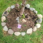 Image 2 of customer photos