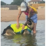 Image 1 of customer photos