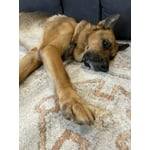 Image 6 of customer photos