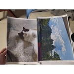 Image 7 of customer photos