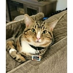 Image 5 of customer photos