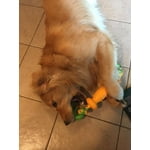 Hartz Dura Play Tug Of Fun Bacon Scented Dumbbell Dog Toy