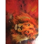 Image 2 of customer photos