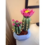 Image 2 of customer photos