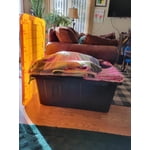 Image 2 of customer photos