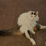 Image 6 of customer photos