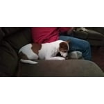 Image 1 of customer photos