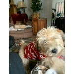 Image 3 of customer photos