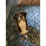 Image 3 of customer photos