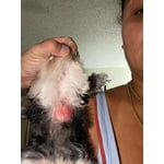 Image 5 of customer photos