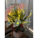 Image 6 of customer photos