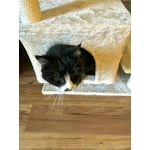 Image 1 of customer photos