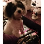 Image 6 of customer photos