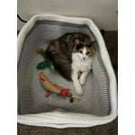 Image 2 of customer photos