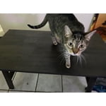 Image 3 of customer photos