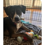 Image 2 of customer photos