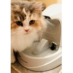 Image 4 of customer photos