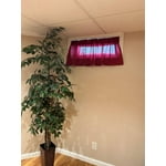 Image 7 of customer photos