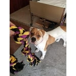 Image 4 of customer photos