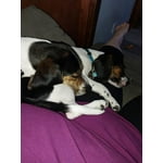 Image 4 of customer photos