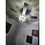 Image 3 of customer photos