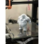 Image 1 of customer photos